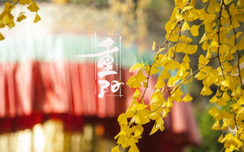 金秋送爽，心暖重陽(yáng)。祝您重陽(yáng)愉快，闔家歡樂(lè)，福壽安康！